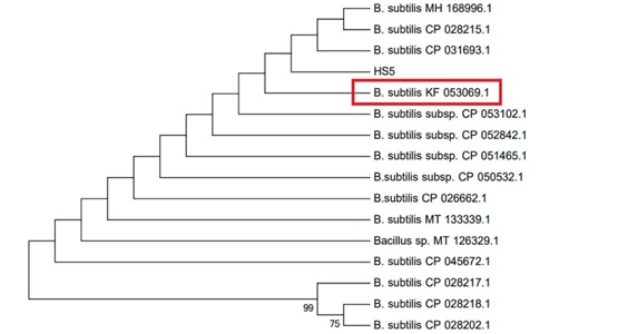 Figure 4