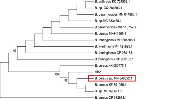 Figure 5